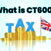 what is CT600, CT600 Corporation Tax CT600 filing Corporation Tax return UK CT600 form HMRC UK Corporation Tax return CT600 submission