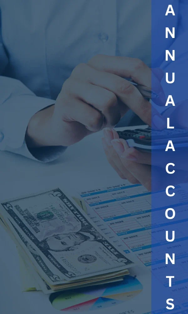 Annual Accounts Preparation page left pannel